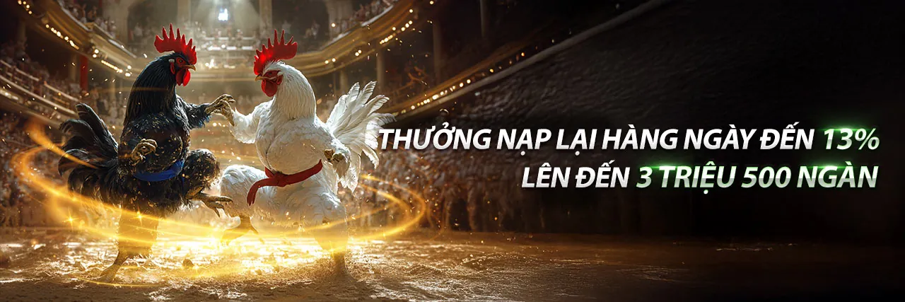 Đá gà trực tuyến 79king2 code
